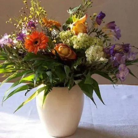 公寓 Newly Refurbishet Dachgeschoss Flat For Kids And Pets 卡塞尔