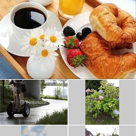 Newly Refurbishet Dachgeschoss Flat For Kids And Pets * 卡塞尔