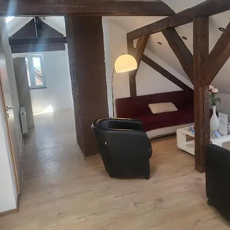 公寓 Newly Refurbishet Dachgeschoss Flat For Kids And Pets *